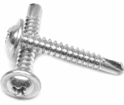 Tornillo autoperforante de cabeza lenteja 19 mm